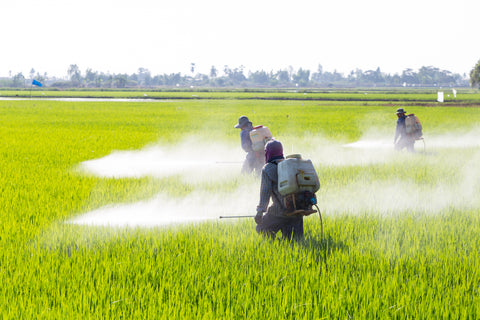 Numerous Safety Reports Show Pesticides Can Be Detrimental To Consumers’ Health