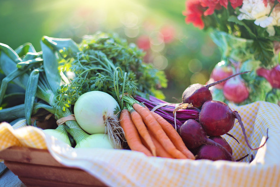 Should Organic Vegetable Gardening Be A Part Of Your Life?
